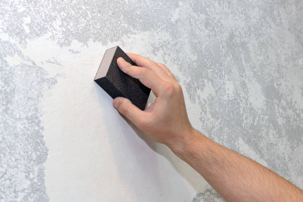 Best Residential Mold Inspection & Testing  in Ly Lake, IL