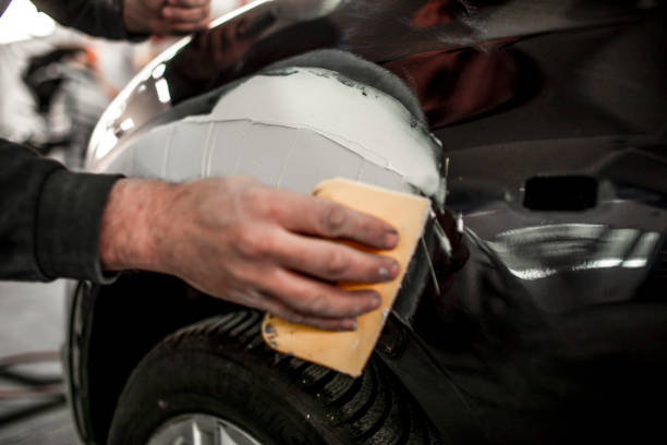 Lily Lake, IL Mold Removal Company