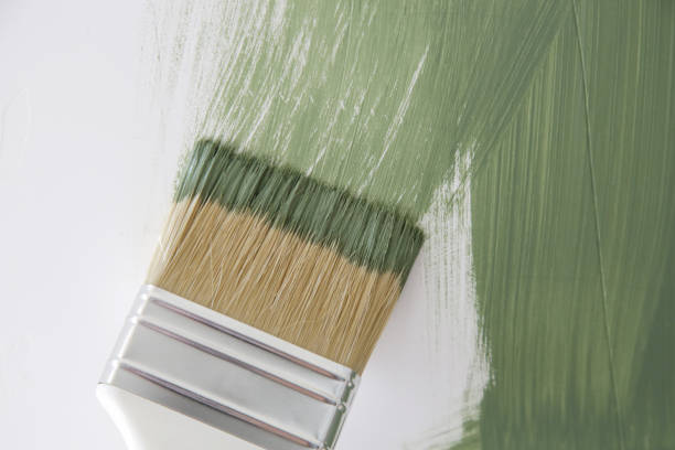 Best Mold Damage Restoration  in Ly Lake, IL