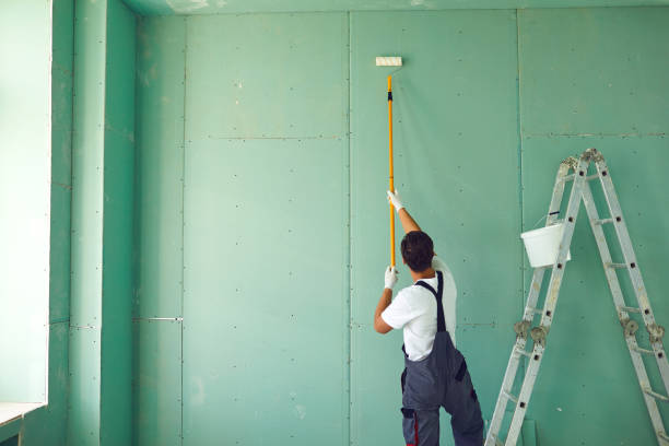 Best Basement Mold Removal  in Ly Lake, IL