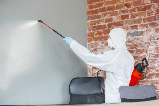 Best Mold Prevention Services  in Ly Lake, IL