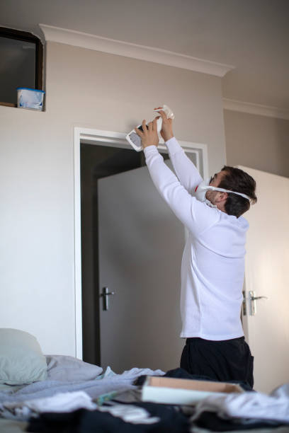 Best Mold Odor Removal Services  in Ly Lake, IL
