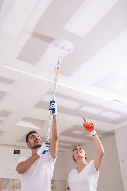 Best Residential Mold Inspection & Testing  in Ly Lake, IL