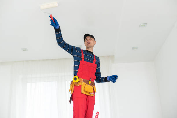 Best Real Estate Mold Inspection  in Ly Lake, IL