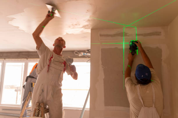 Best Air Quality Testing for Mold Spores  in Ly Lake, IL