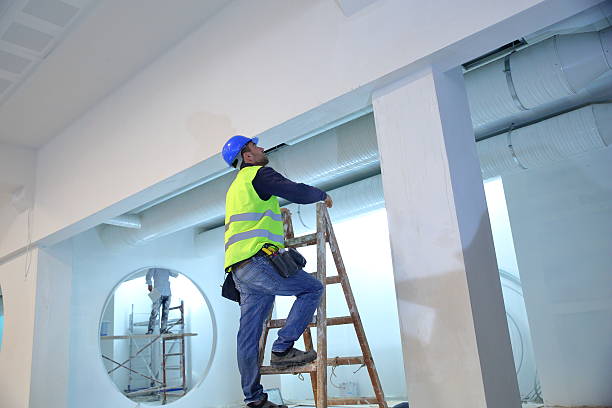 Best Forensic Mold Investigation  in Ly Lake, IL