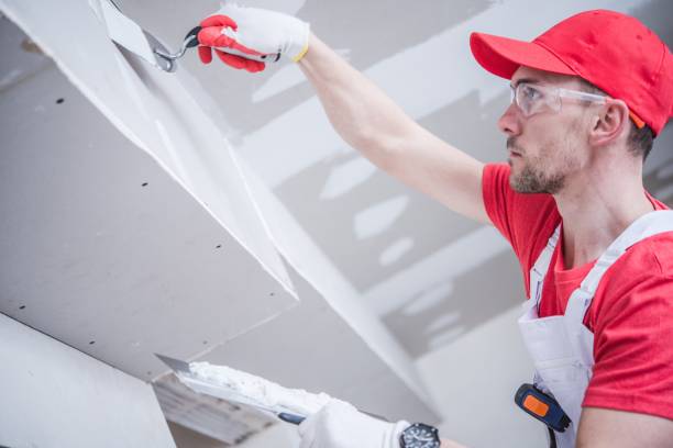 Best Water Damage & Mold Remediation  in Ly Lake, IL