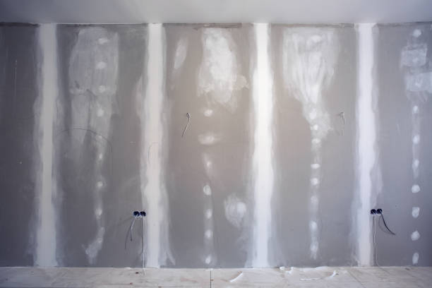 Best Crawl Space Mold Remediation  in Ly Lake, IL